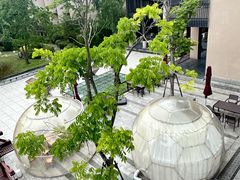 -上海崇明金茂凯悦酒店
