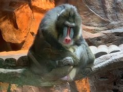 -长鹿旅游休博园
