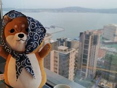 -柴犬小屋·柴餐厅·狗咖食堂(金鼎广场店)