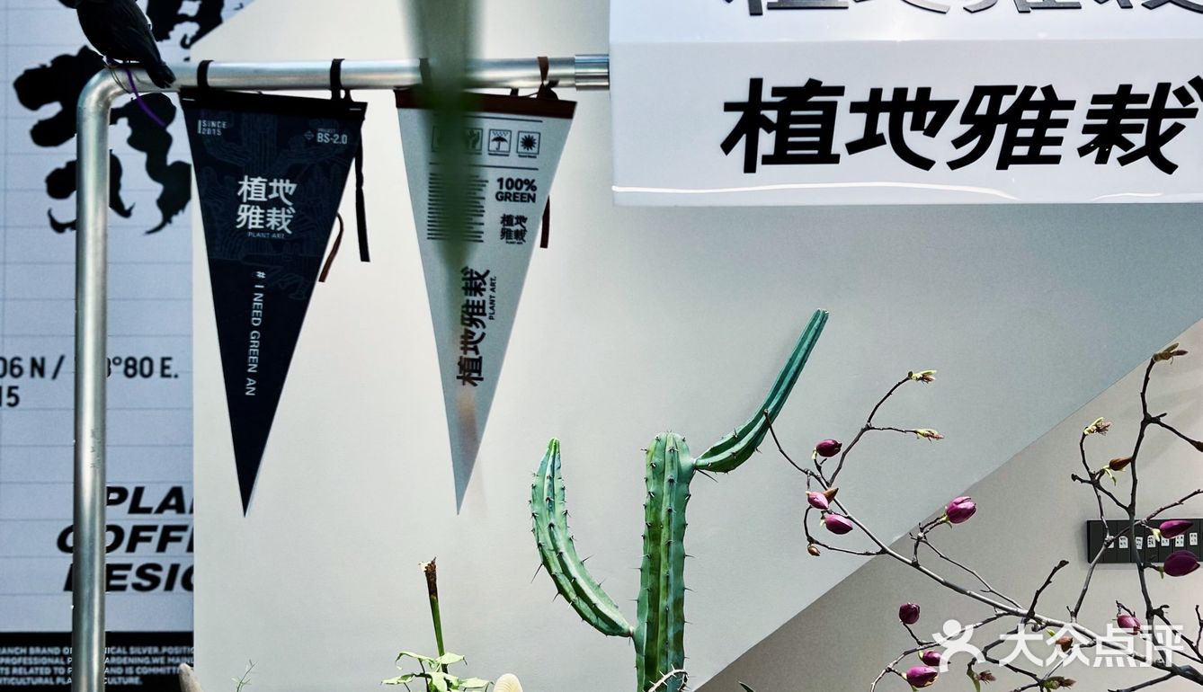 躺在城市森林晒会儿太阳🍃给精神以光合作