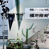 躺在城市森林晒会儿太阳🍃给精神以光合作