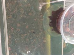 -鸿运兔·手撕烤兔(天府广场店)