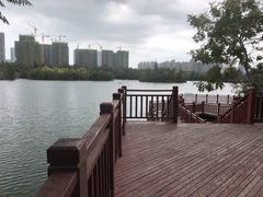 -五缘湾湿地公园