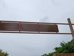 -大澳