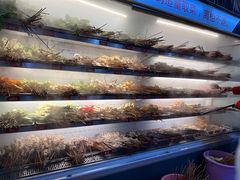 -牛华八婆麻辣烫(起源店)