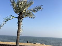 -巧克力渔家.小船海鲜家常菜(万平口店)