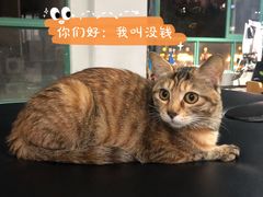 -AK健身普拉提拉伸私教馆(中八店)