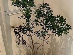 -boundaries籬苑(瑞光创意工厂-贰号院店)