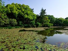 -杭州植物园