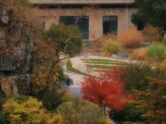 -上海吴淞炮台湾国家湿地公园