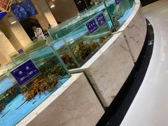 水产区-旺顺阁海鲜广场(亚运村店)