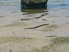 -美兰湖景区