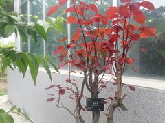 -国家植物园南园