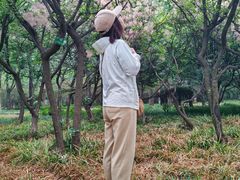 -洛阳市隋唐城遗址植物园
