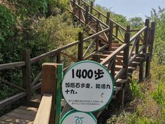 -大岭沟猕猴桃谷风景区