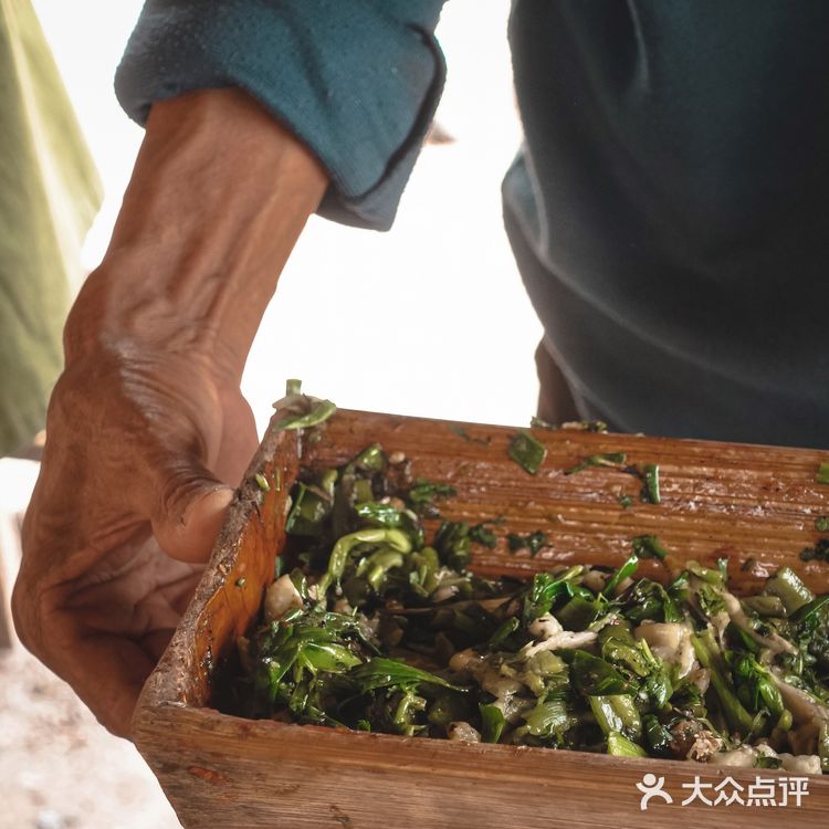 小象雨林|在西双版纳的原始森林里