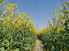 -同济大学(嘉定校区)