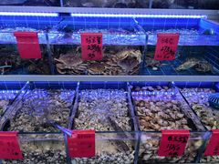 -金海湾海鲜排档(朱家尖店)