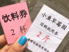 -小鱼草莓采摘园农家乐·小鱼餐厅