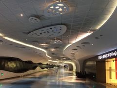 -上海中心大厦