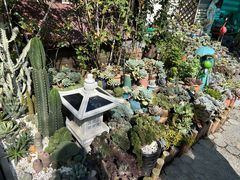 -杨厝六十六农庄农舍(杨厝路店)