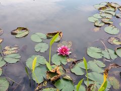 -昆山城市生态森林公园