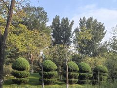 -燕郊植物园