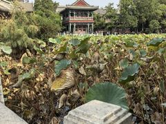 -莲池书院博物馆