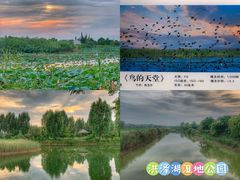 -泗洪洪泽湖湿地景区