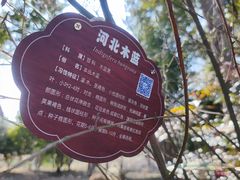 -梁鸿国家湿地公园