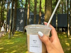 -玉苍山国家森林公园