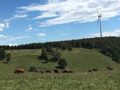 -塞罕坝国家级自然保护区