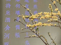 -沈灶河豚宴·河豚融合餐厅(汉中路店)