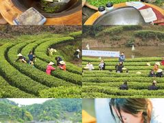 -上海山野camping·户外天幕烧烤·团建拓展营地