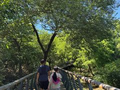 -白水寺森林公园