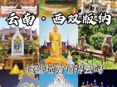 -西双版纳原始森林公园