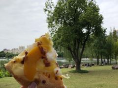 -南翔镇银翔湖公园