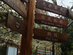 -泉州海丝野生动物世界