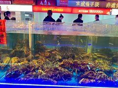 -鸽子张·家宴(大兴店)