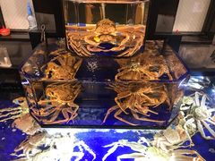 -蟹道乐(道顿堀本店)