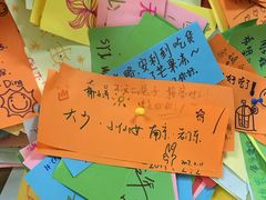 -志龙皇冠吃货椰子铺