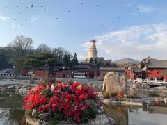 -五台山风景名胜区