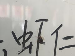 -津味轩二姑包子(商业街店)