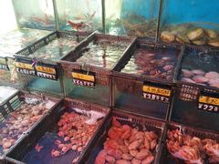 -蚝专家