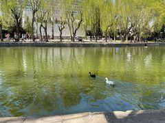 -团结湖公园