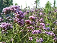 -千龙湖生态旅游度假区