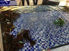 -海鲜码头·中国菜