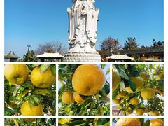 -梅州天地人花园酒店(梅县人民广场店)