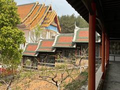 -报恩禅寺