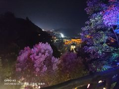 -明月山天沐温泉度假村